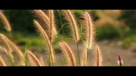 The Earth Element.mp4_snapshot_03.52_[2013.07.27_16.19.25].jpg