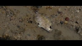 Open Sea.mp4_snapshot_01.27_[2013.07.18_13.57.45].jpg