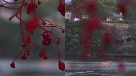 dof.jpg dof.jpg