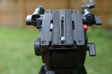 7972593530_506d42b078.jpg