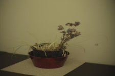 IMG_0096.jpg
