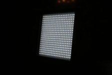IMG_0037.jpg