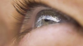 ECU eye.jpg ECU eye.jpg