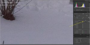 ColorMottlingInSnow_Default.jpg ColorMottlingInSnow_Default.jpg