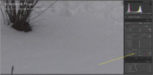 ColorMottlingInSnow_Defaul_Lower_Vibrance_to_minus60.jpg ColorMottlingInSnow_Defaul_Lower_Vibrance_to_minus60.jpg