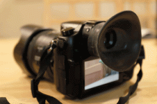 gh4-c-cup.gif gh4-c-cup.gif