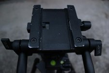 IMG_3976.jpg