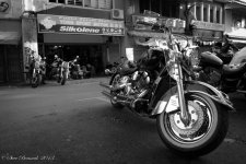 DSC_3074-2.jpg