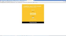 shuttercount.jpg