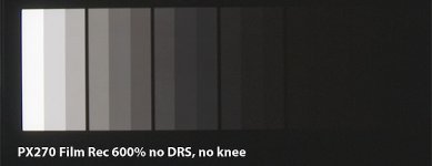 Dynamic-Range.jpg Dynamic-Range.jpg