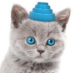 devo-cat-party_01.jpg
