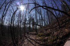 Trail_original.jpg Trail_original.jpg