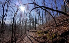 Trail.jpg Trail.jpg