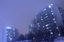 IMG_2858.jpg