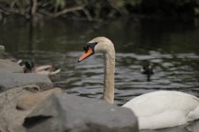IMG_4757.jpg