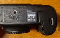 5D_Bottom.jpg 5D_Bottom.jpg
