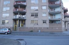 P1090159.jpg