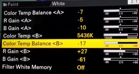 Colour Temp Balance.jpg