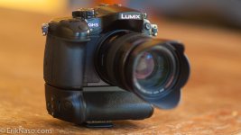 GH3-Grip_.jpg