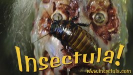 roachlobby.jpg roachlobby.jpg