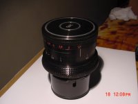 50mm 3.jpg