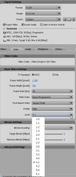 AdobeMediaEncoder2.jpg