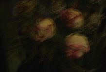 flower-lines1.jpg