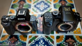Sony-A7s-compared-to-the-GH4.jpg Sony-A7s-compared-to-the-GH4.jpg