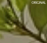 debayer.gif debayer.gif