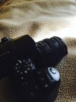 IMG_0827.jpg