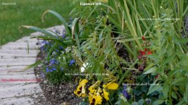 Garden 2 gamma 0.jpg Garden 2 gamma 0.jpg