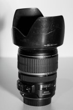 IMG_1250 - Copy.JPG