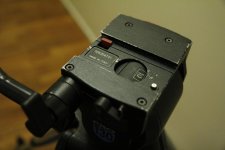 _MG_2777.jpg