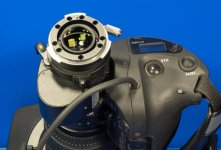 PCS42478.jpg