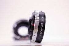 YT1A1610.jpg