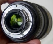 Nikon 17-55 f:2.8 (1).jpg Nikon 17-55 f:2.8 (1).jpg