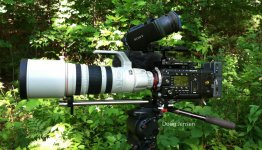 F55-canonlens.jpg F55-canonlens.jpg