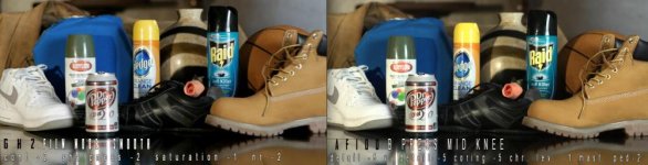 af100 and gh2 color match.jpg af100 and gh2 color match.jpg