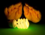 warm-fluorescent-light.jpg warm-fluorescent-light.jpg