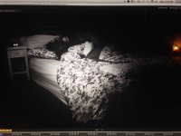 photo 3.JPG photo 3.JPG