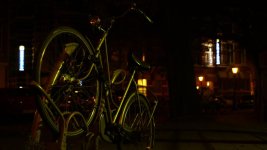 Bike Single Park NIGHT.jpg