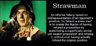 strawman-full.jpg strawman-full.jpg