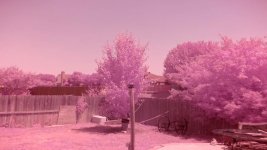 pink lens image.jpg