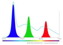 QD_RGB_Spectra.jpg QD_RGB_Spectra.jpg