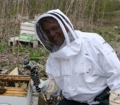 Go Pro & Bees.jpg
