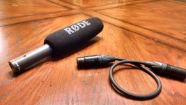 Rode NTG 1 with Soft Cover and XLR Cable.jpg