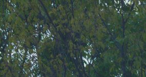 RawB1.142.1.jpg