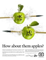 OdysseyCampaign_HFRApples_FullSize.jpg