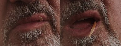 tash.jpg