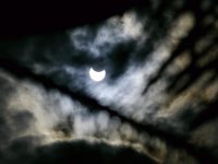 09 solar eclipse 29-4-14 palm tree (compressed).jpg 09 solar eclipse 29-4-14 palm tree (compressed).jpg
